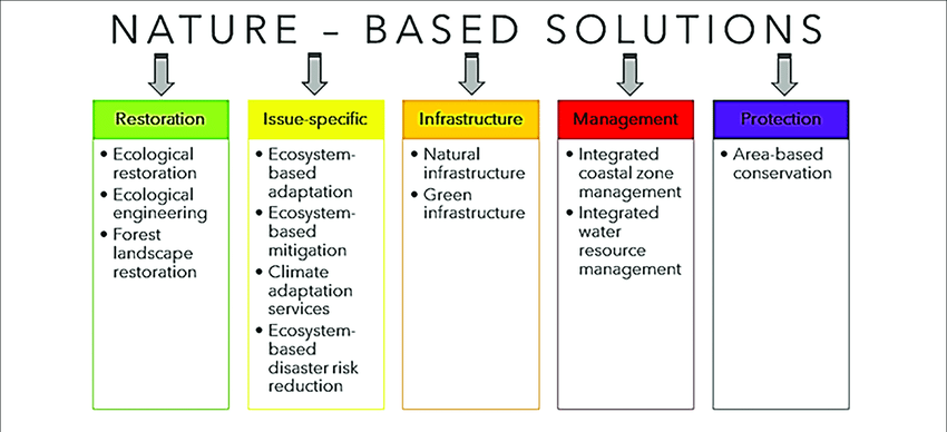 nature-based-solutions
