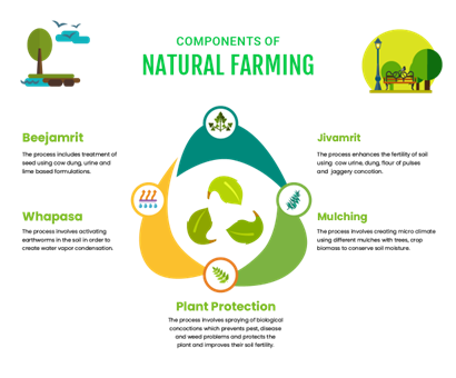 Natural-farming