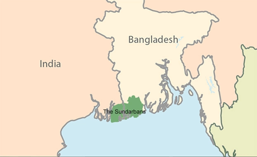 The-Sundarbans