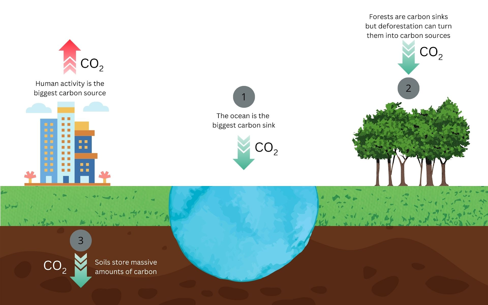 Carbon_Sink
