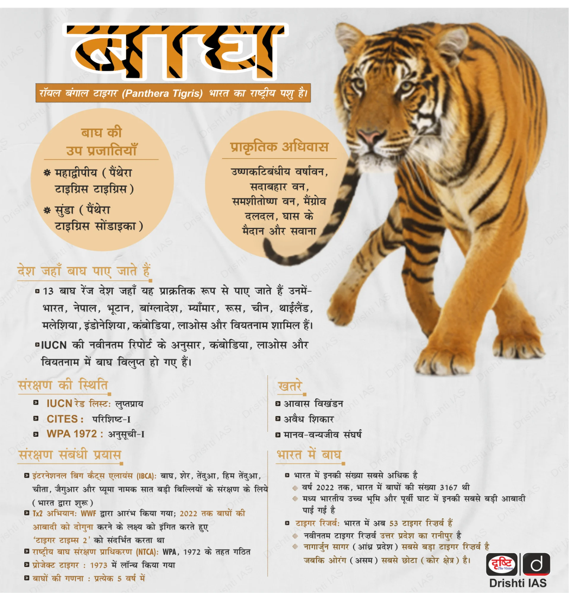 Gujarat_Reclaims_Tiger_State_Status