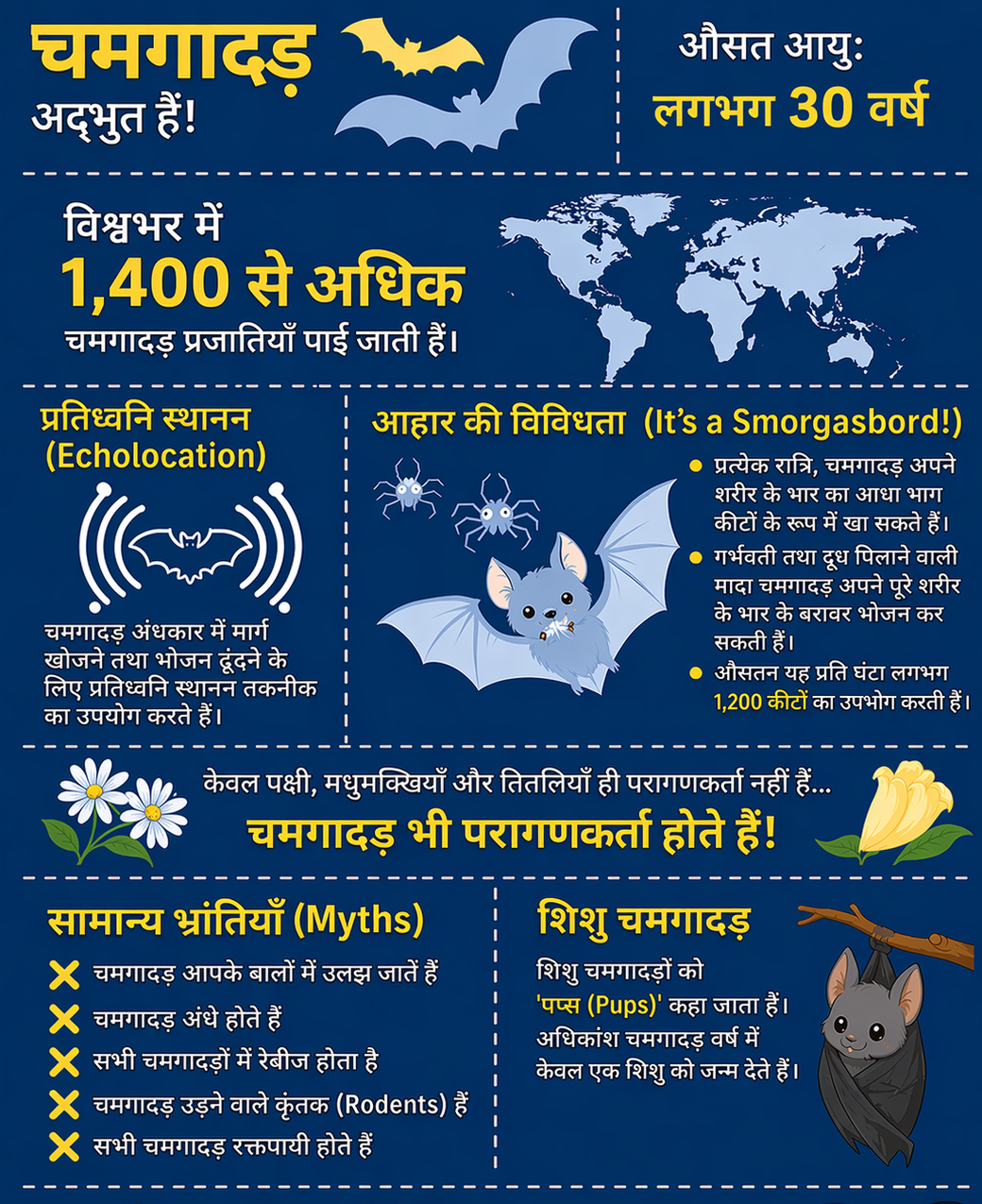 State of India’s Bats Report