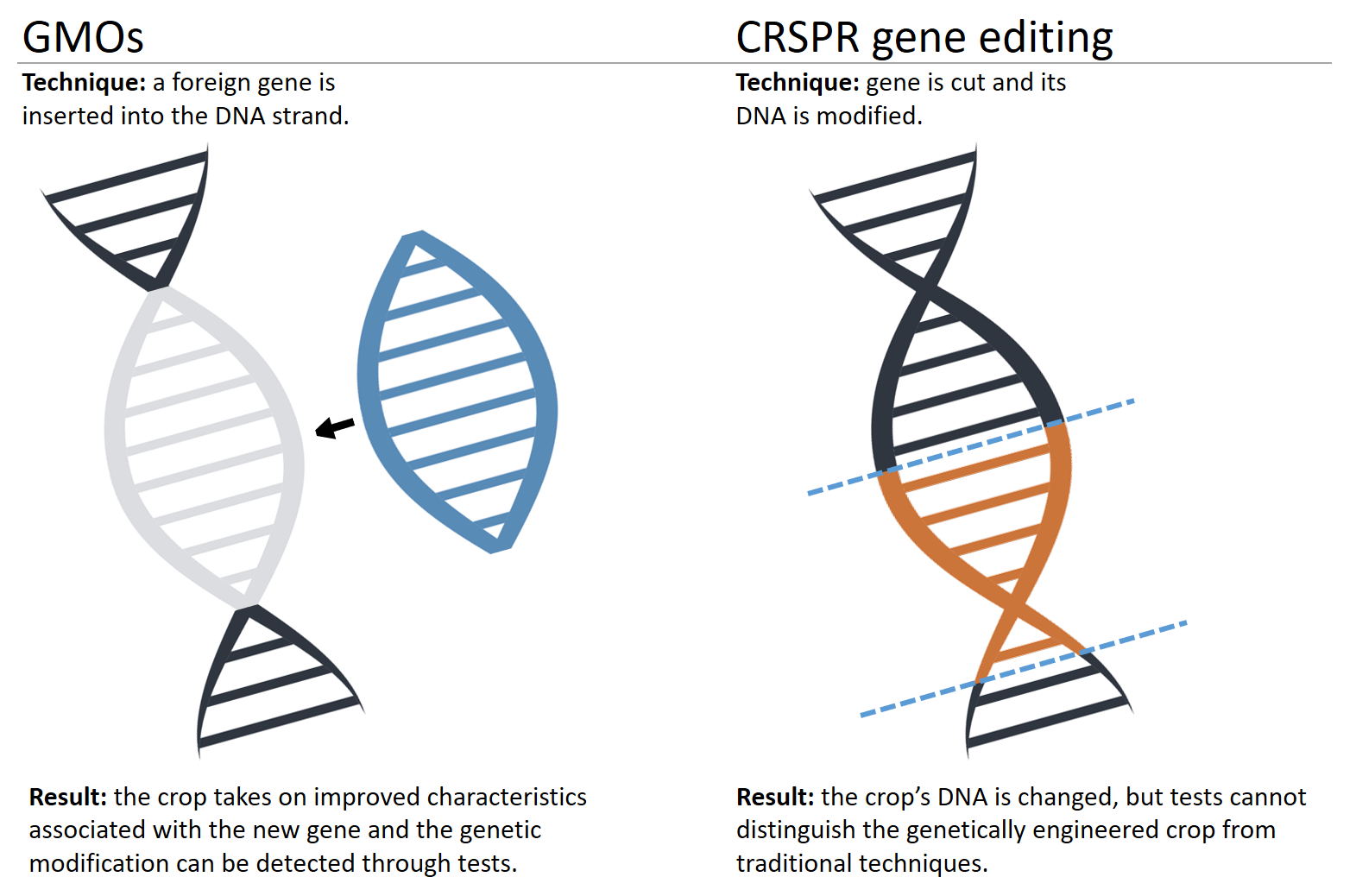 Gene editing: Playing God or repairing a 'natural system' that has gone  haywire? - Genetic Literacy Project