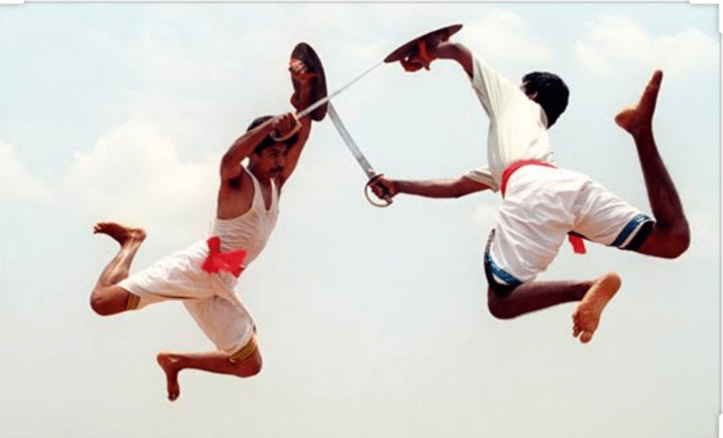 India and Martial Arts: Systems, Traditions and Standings