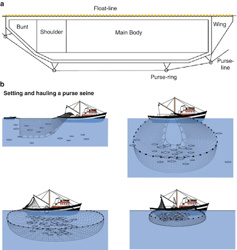 Seine net fishermen's issues to be resolved before December 1, Page 5