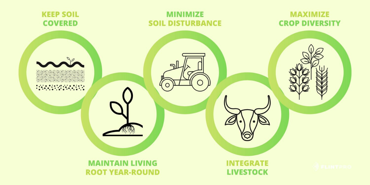 advantages of agriculture