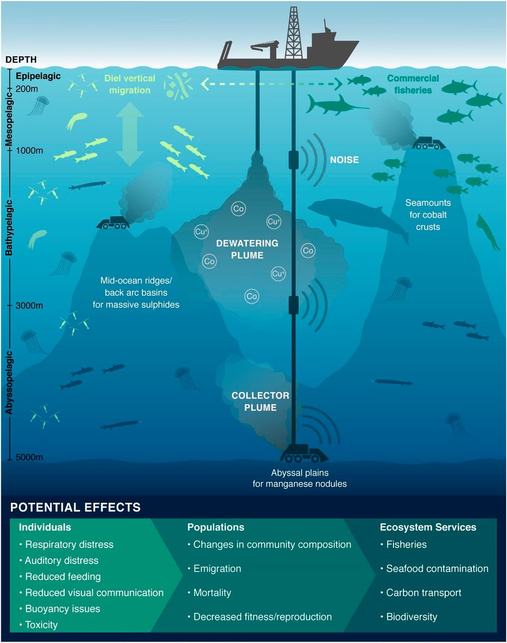 Deep Sea Mining And Its Threats