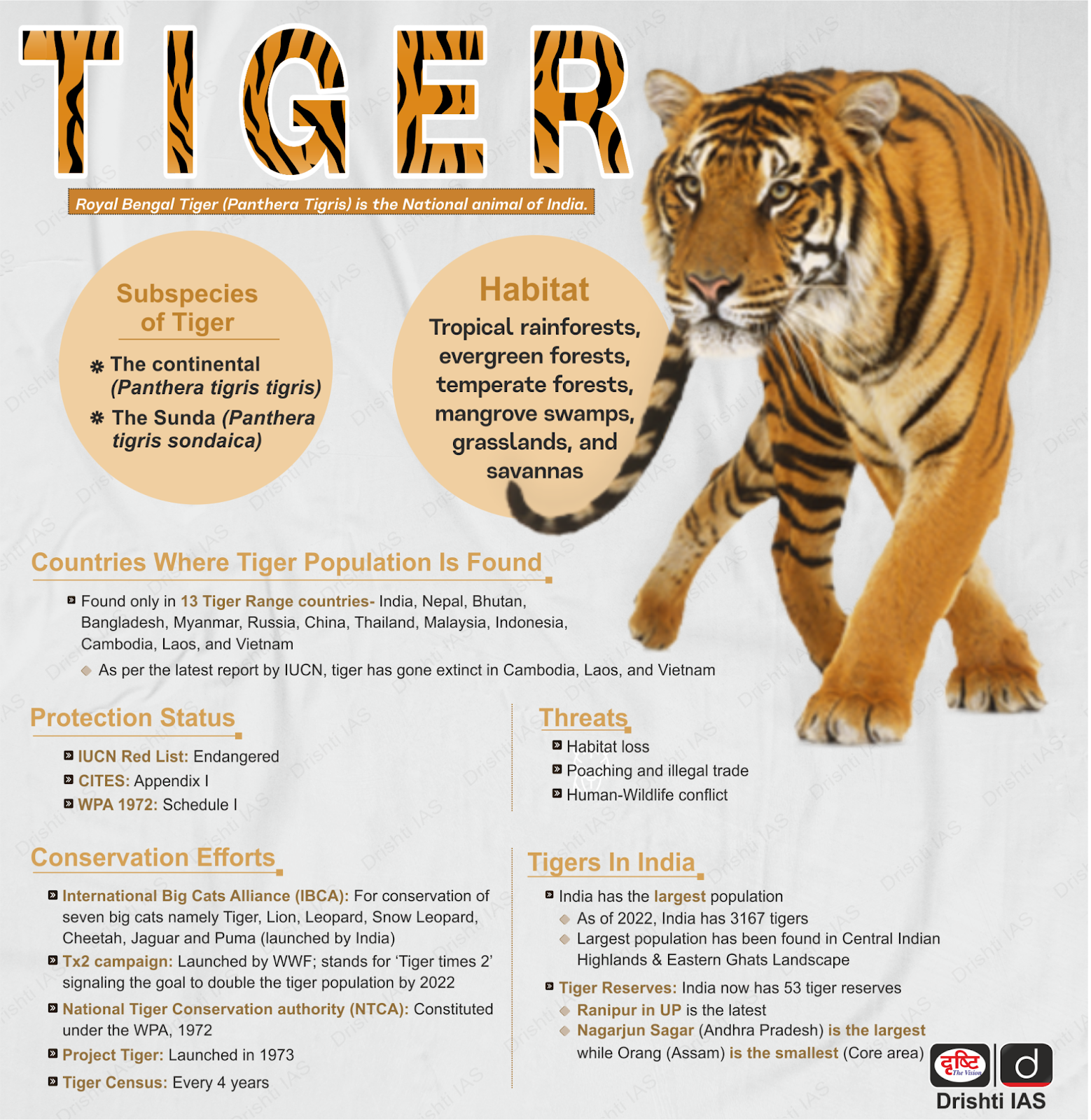 7th Global Tiger Day