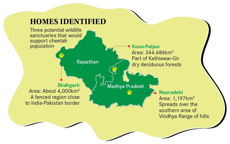 Nauradehi_Wildlife_Sanctuary