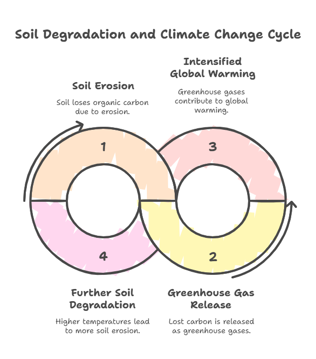 Soil_Degradation_and_Climate_Change_Cycle