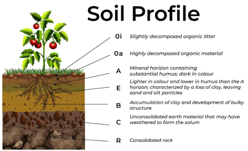 Soil_Profile