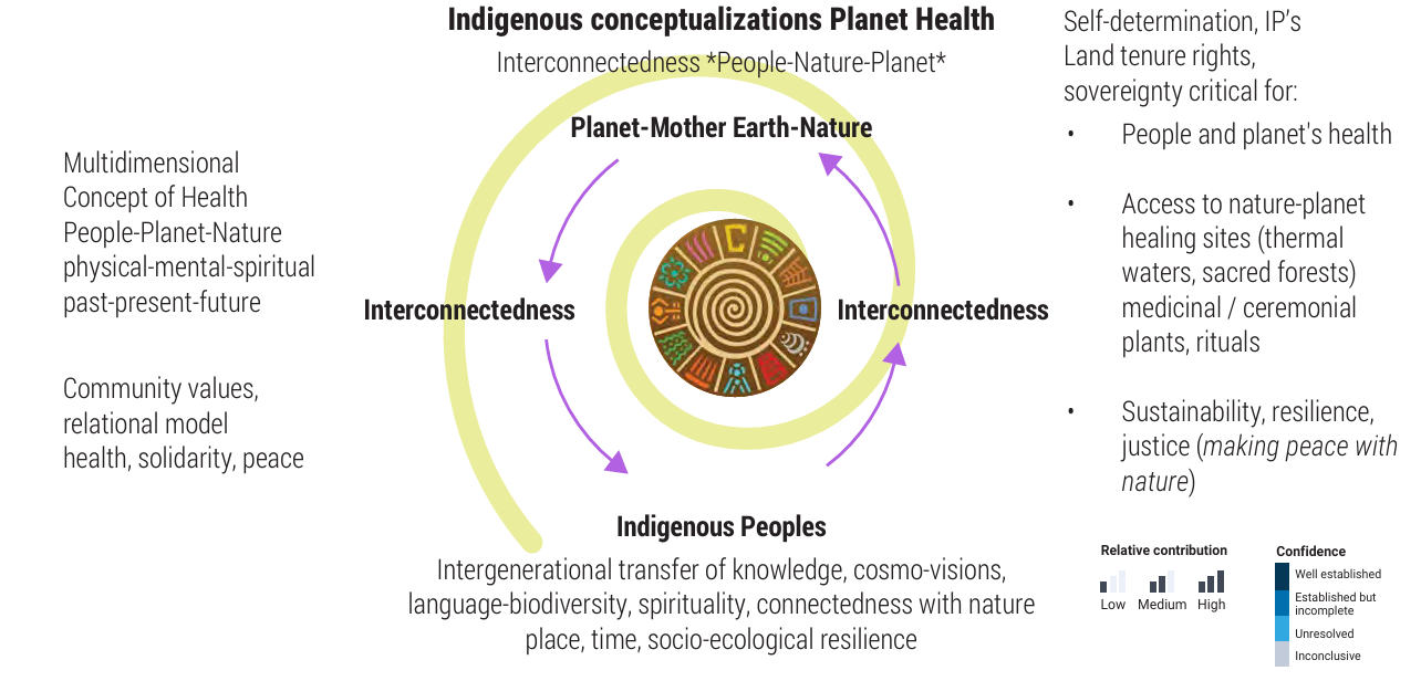 Preventing_Environmental_Collapse