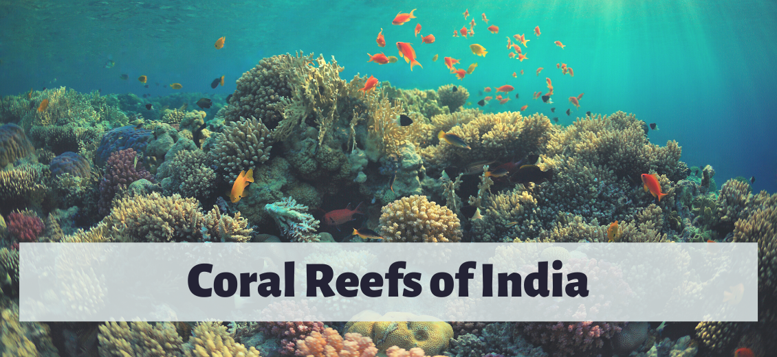 Natural Threats to Coral Reefs: Corals Tutorial