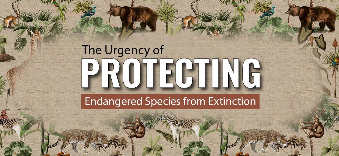 threatened species definition