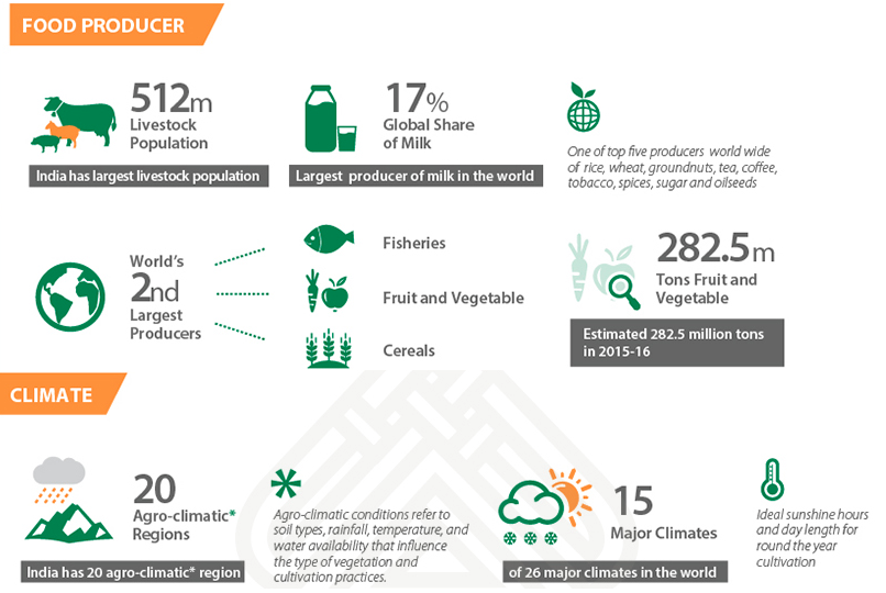 Future Prospects Of Food Processing Industry In India WASQIYE