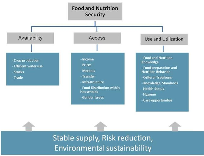 Dimensions Of Food Security