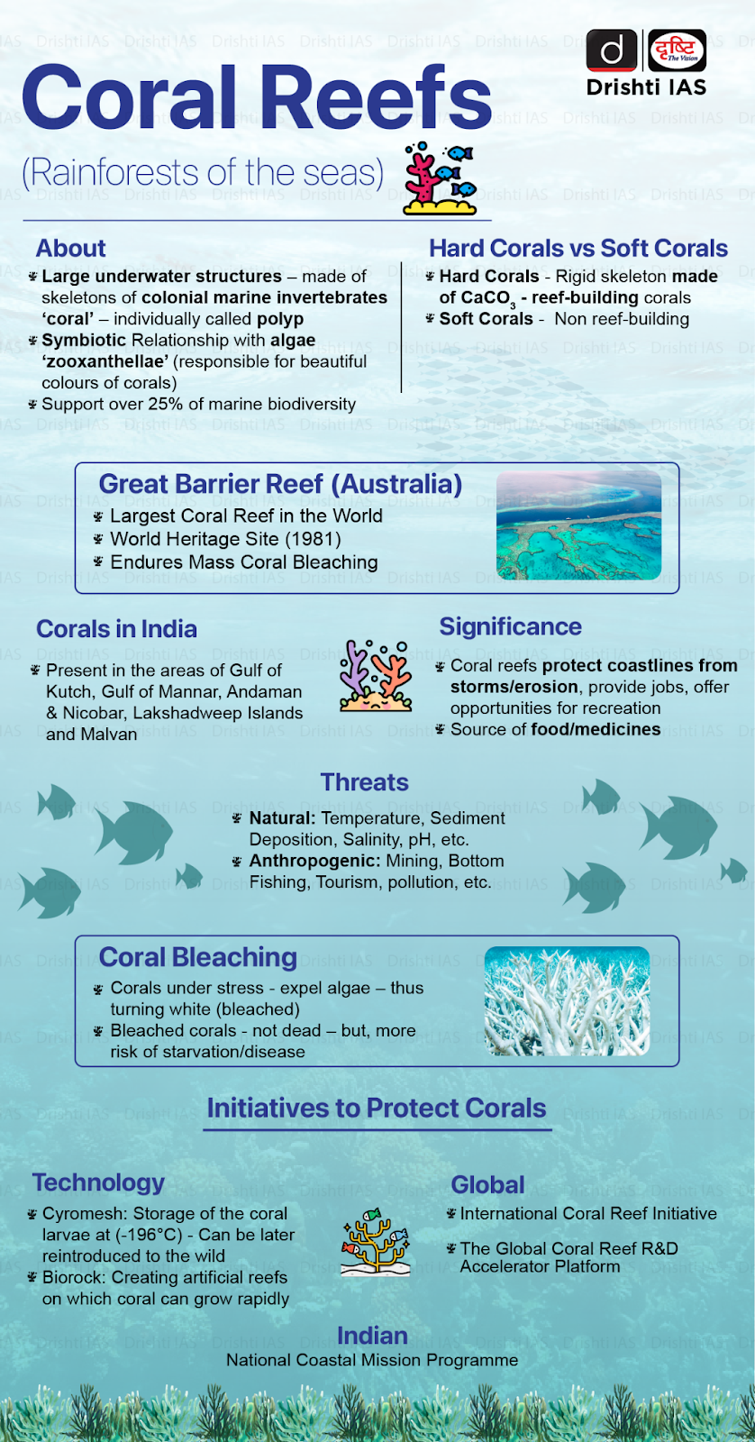 Coral Reef Breakthrough