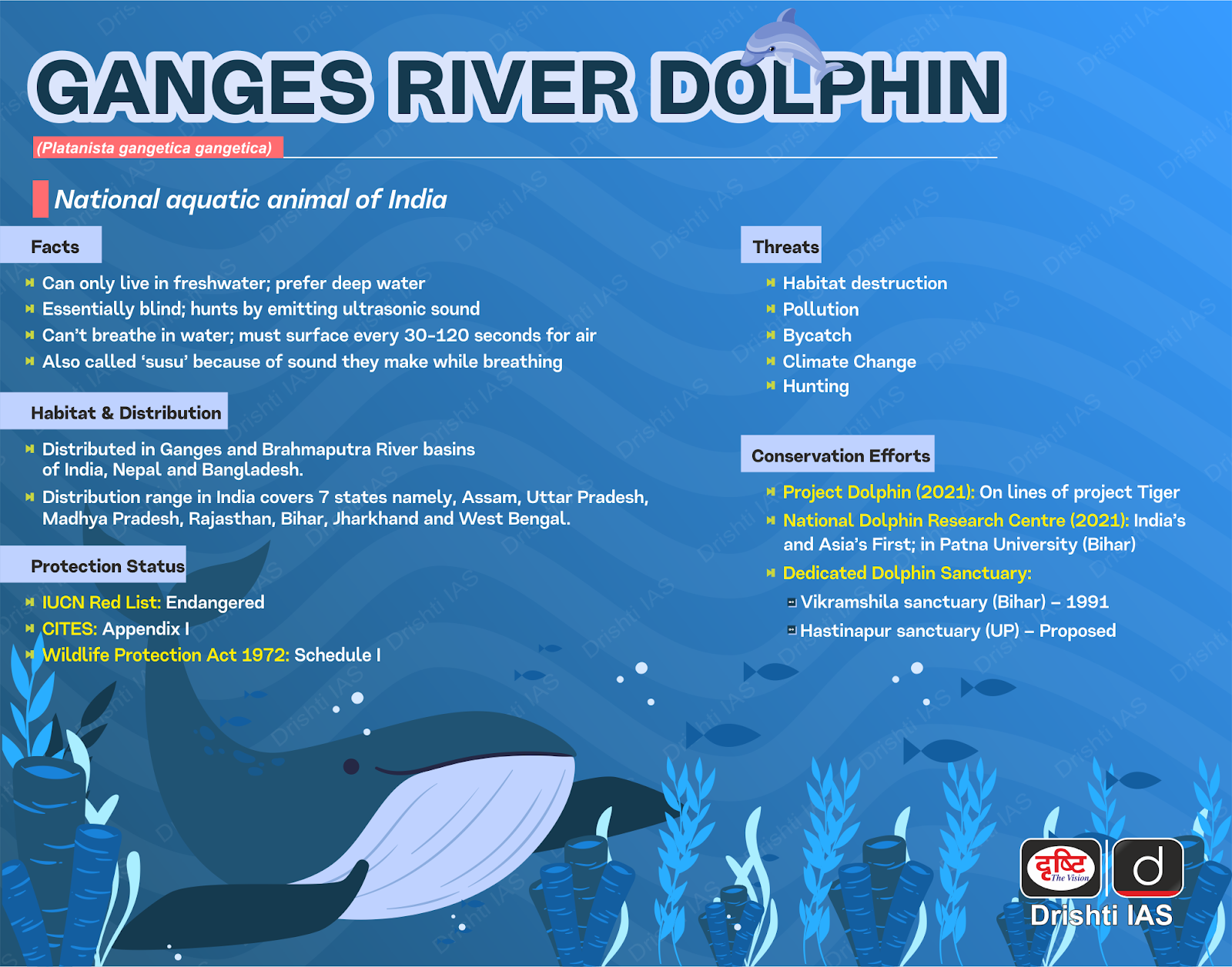 Global Declaration for River Dolphins